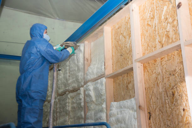 Insulation Replacement Services in Bargaintown, NJ